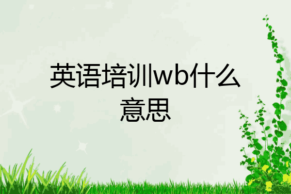 英语培训wb什么意思