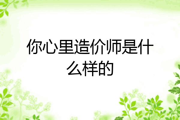 你心里造价师是什么样的