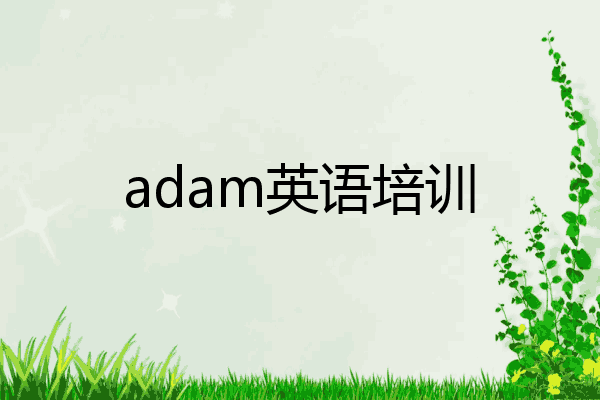 adam英语培训