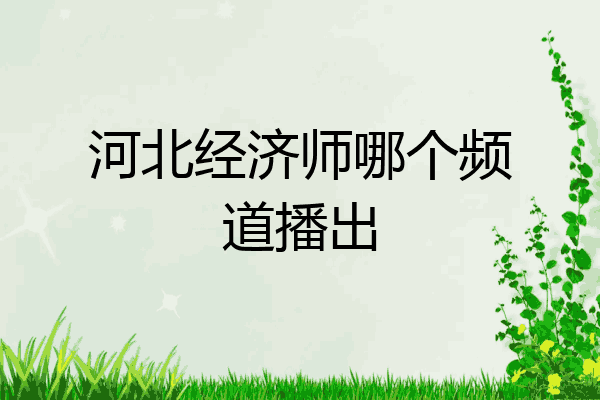 河北经济师哪个频道播出