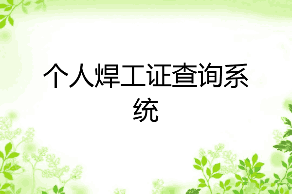 个人焊工证查询系统