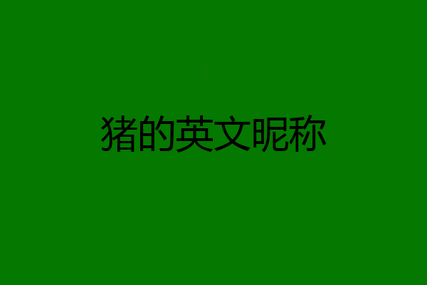 猪的英文昵称