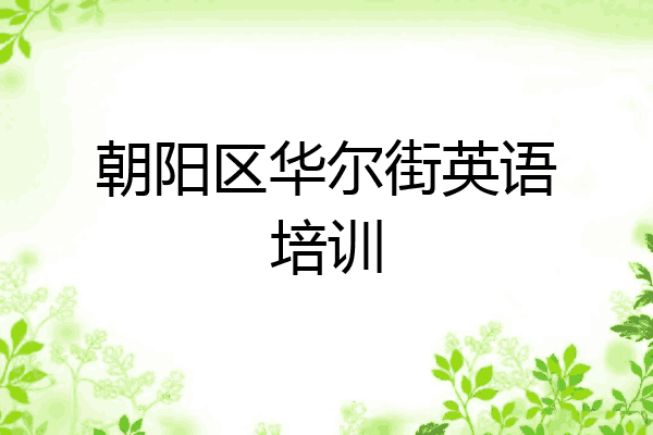 朝阳区华尔街英语培训
