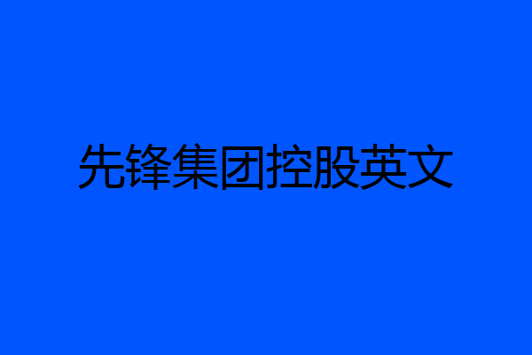 先锋集团控股英文