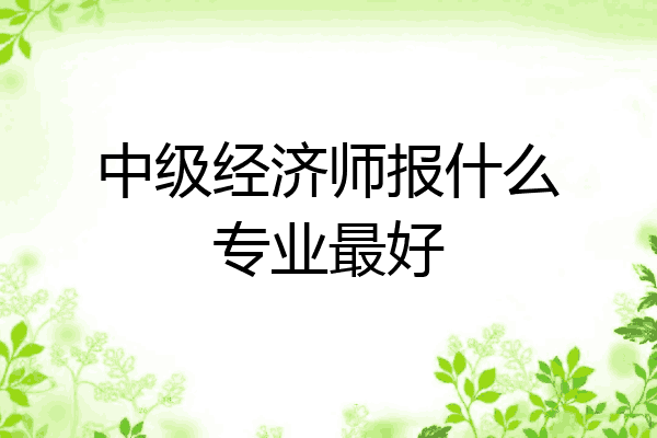 中级经济师报什么专业最好