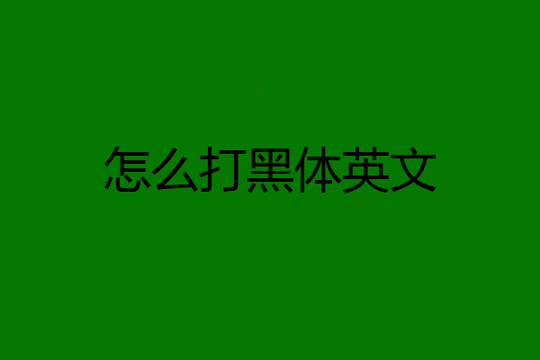 怎么打黑体英文