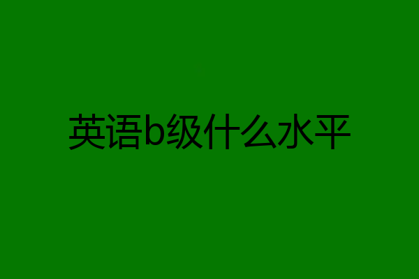 英语b级什么水平