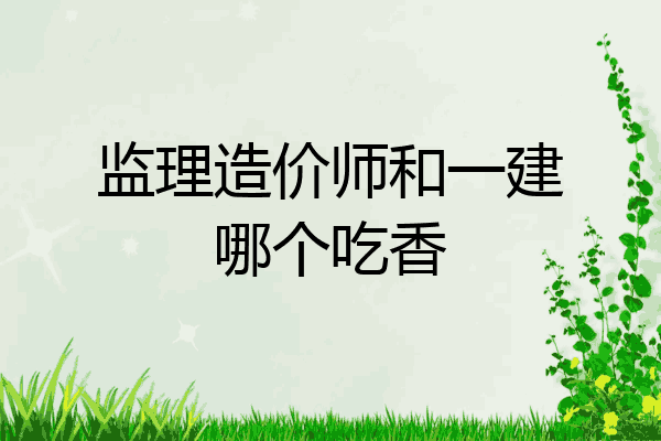 监理造价师和一建哪个吃香