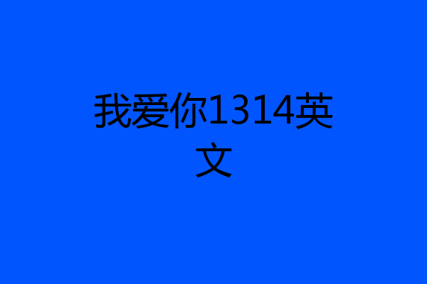 我爱你1314英文
