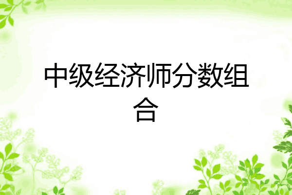 中级经济师分数组合