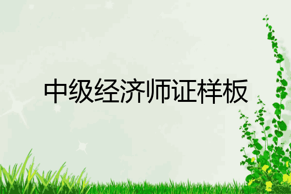 中级经济师证样板