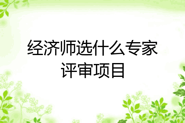 经济师选什么专家评审项目