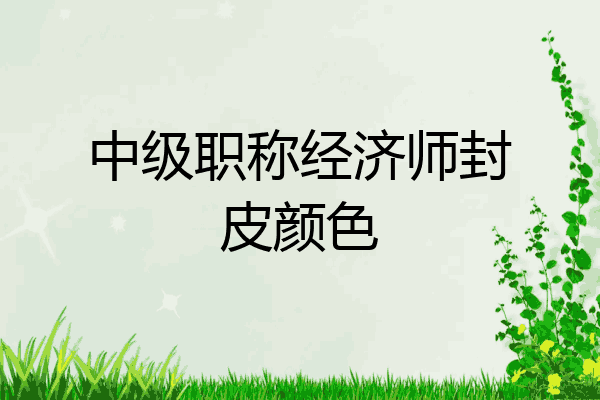中级职称经济师封皮颜色