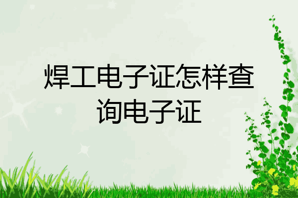 焊工电子证怎样查询电子证