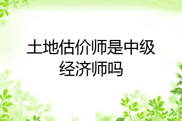 土地估价师是中级经济师吗