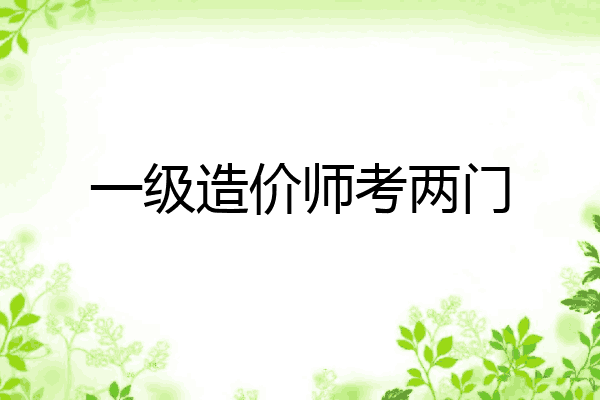 一级造价师考两门