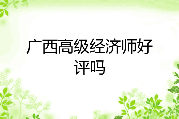广西高级经济师好评吗