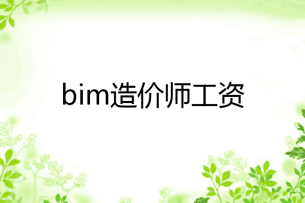 bim造价师工资
