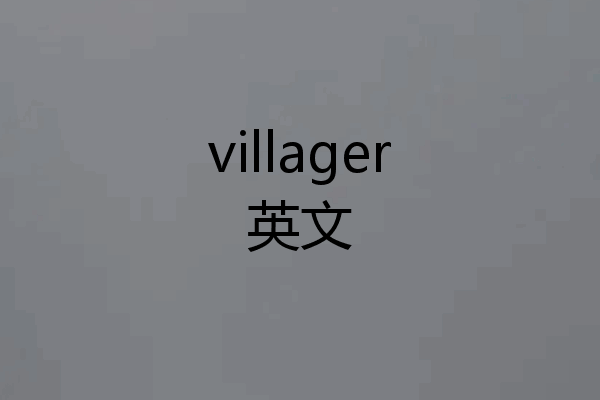 villager英文