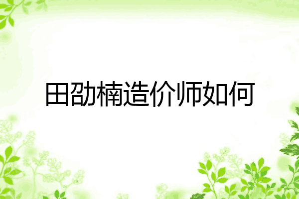 田劭楠造价师如何