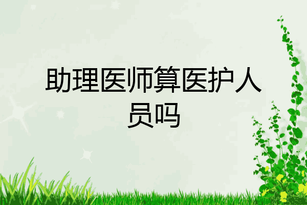 助理医师算医护人员吗