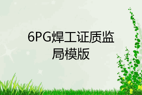 6PG焊工证质监局模版
