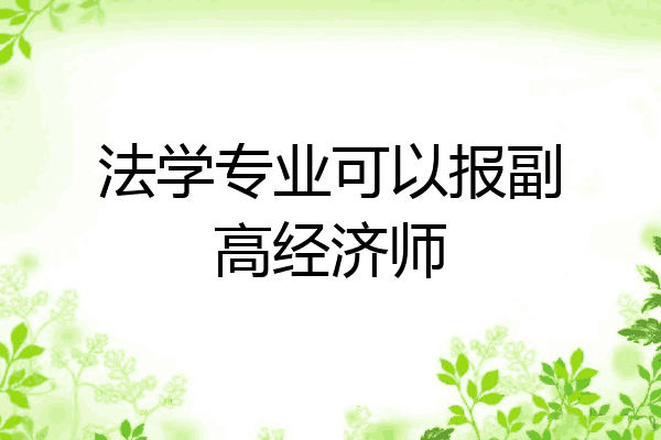 法学专业可以报副高经济师