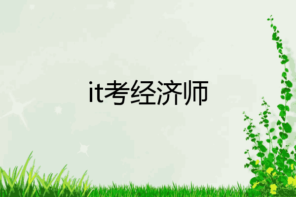 it考经济师