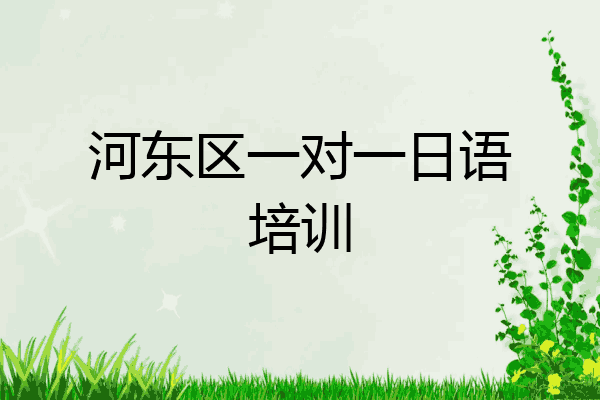 河东区一对一日语培训