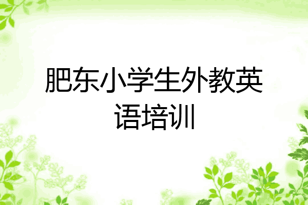 肥东小学生外教英语培训
