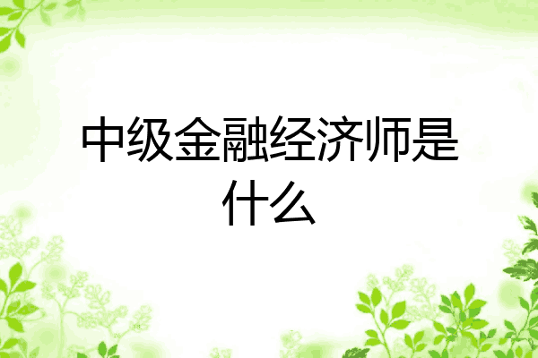 中级金融经济师是什么
