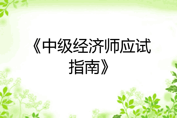 《中级经济师应试指南》