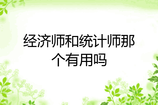 经济师和统计师那个有用吗
