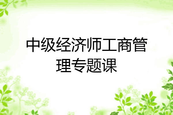中级经济师工商管理专题课