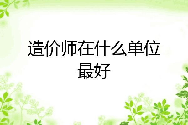 造价师在什么单位最好