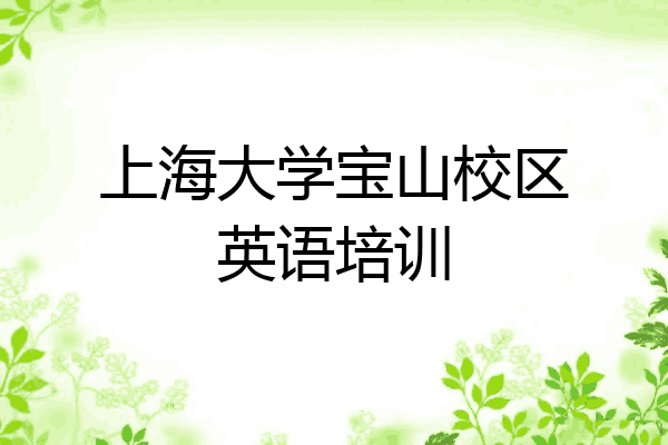 上海大学宝山校区英语培训