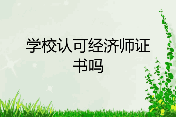 学校认可经济师证书吗
