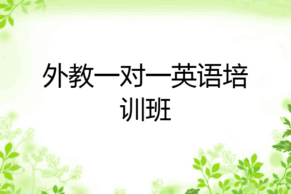 外教一对一英语培训班