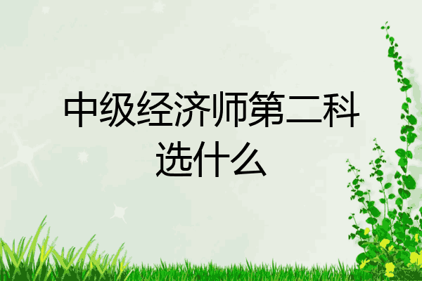 中级经济师第二科选什么