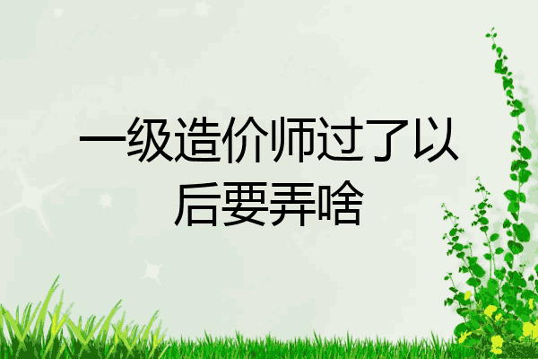 一级造价师过了以后要弄啥