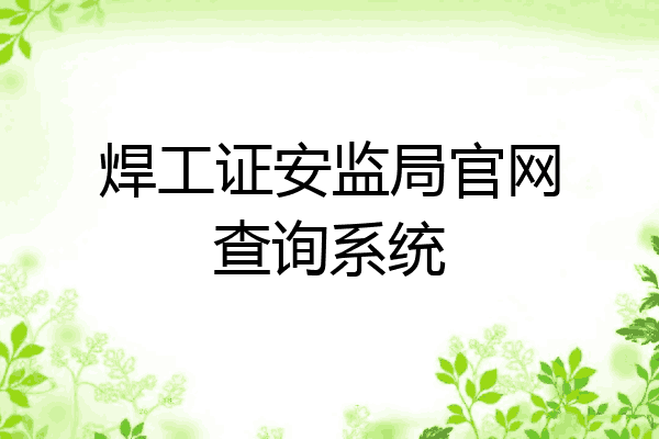 焊工证安监局官网查询系统