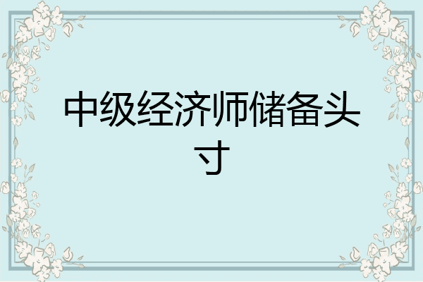 中级经济师储备头寸