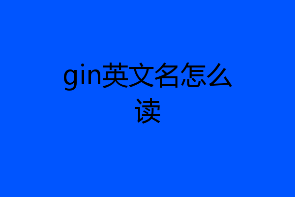 gin英文名怎么读