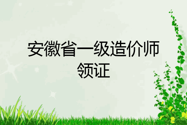 安徽省一级造价师领证