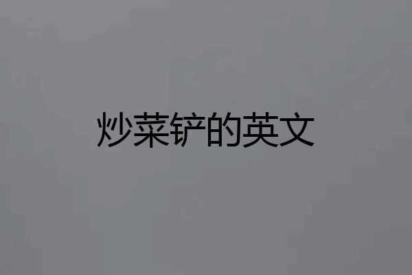 炒菜铲的英文
