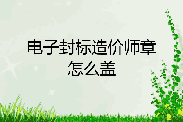 电子封标造价师章怎么盖