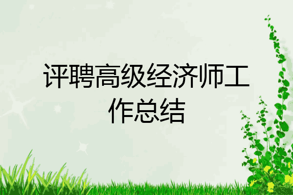 评聘高级经济师工作总结