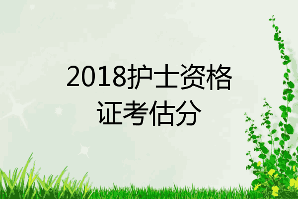 2018护士资格证考估分
