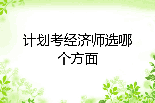 计划考经济师选哪个方面