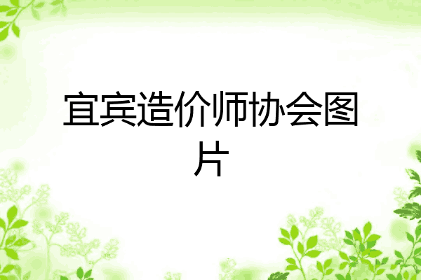 宜宾造价师协会图片